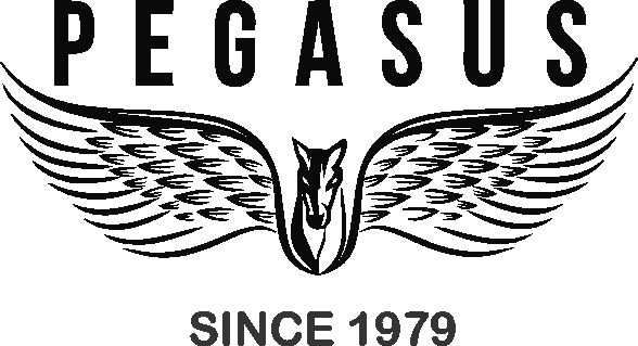Pegasus Concept